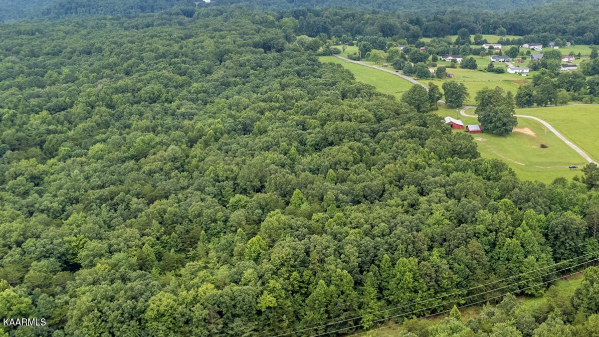 0 40 Model Farm Road Jamestown, TN 38556 - Photo 8 of 59