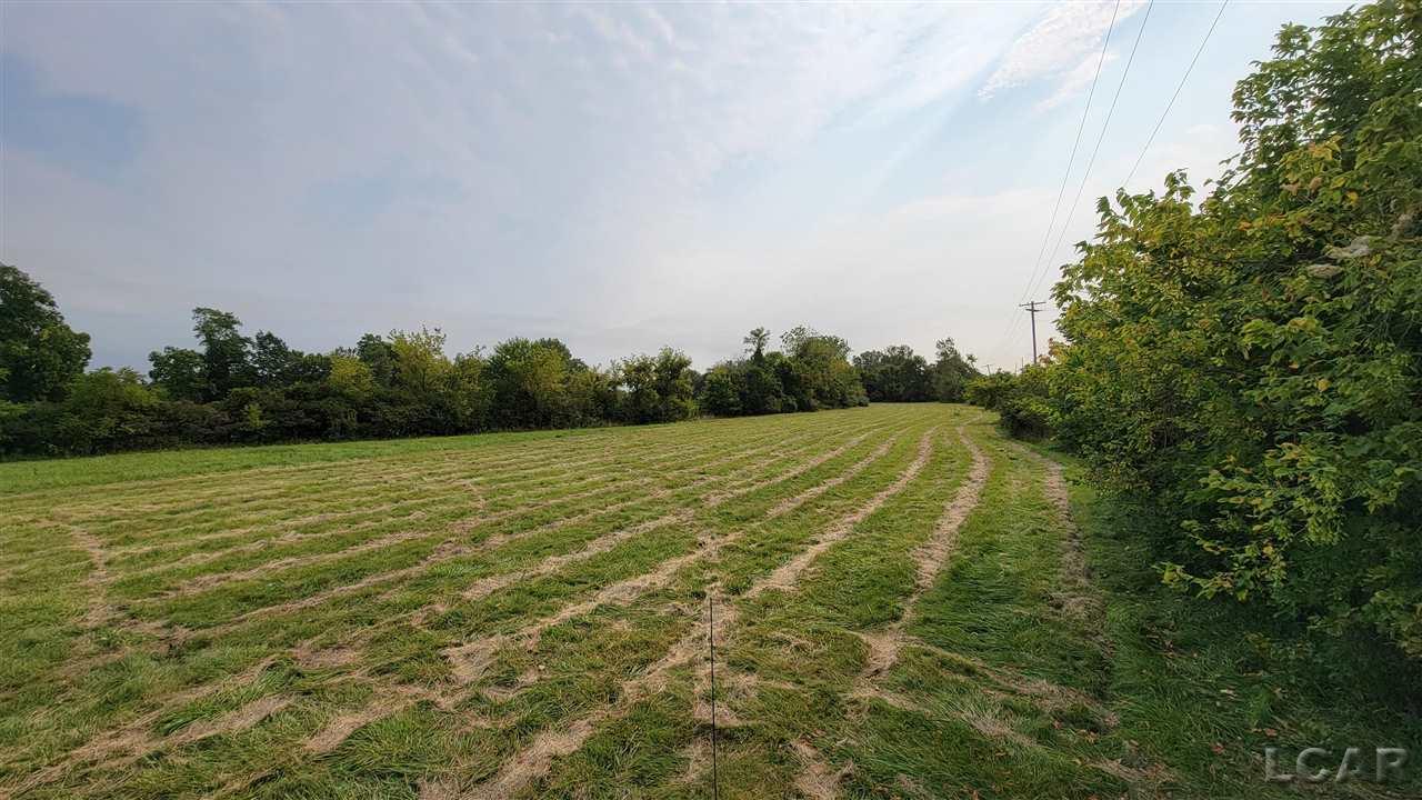 Vl South Custer Road Monroe, MI 48161 - Photo 3 of 6
