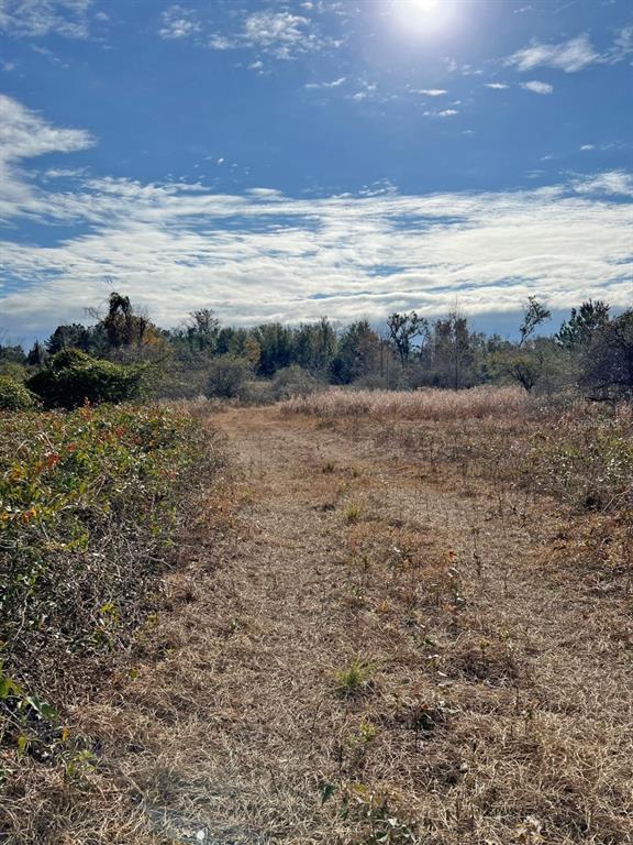 0 Southwest Sw Cr Jasper, FL 32052 - Photo 3 of 5