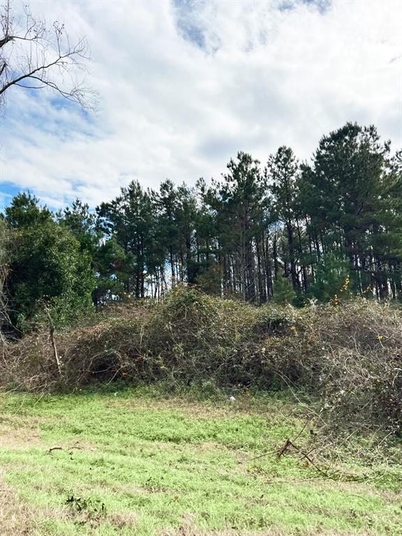 0 Southwest Sw Cr Jasper, FL 32052 - Photo 4 of 5