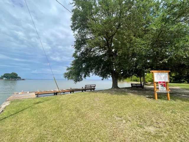 $370,000 | 450 Gov Hogg Drive, Point Blank, TX 77364