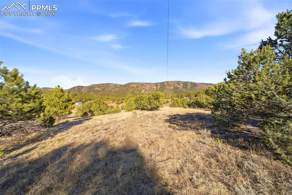 a view of outdoor space and yard