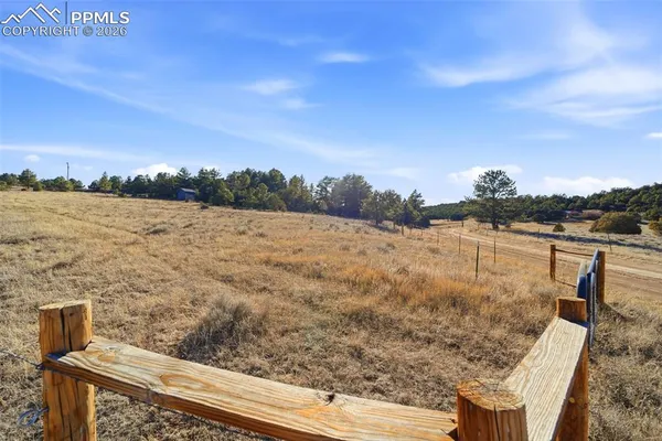 a view of a tree in a yard