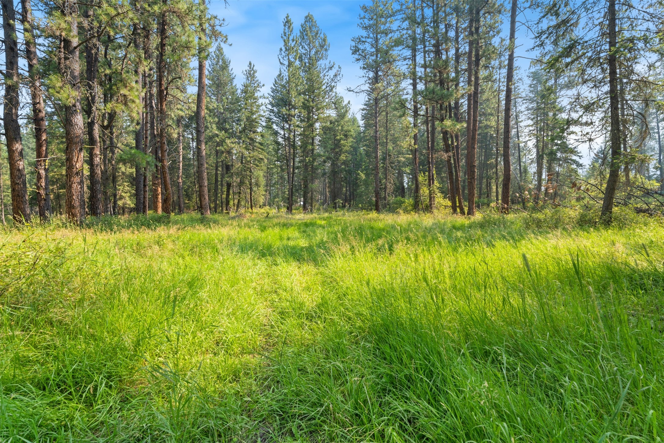 33558 Timberlane Road Ronan, MT 59864 - Photo 28 of 31 Gallery Image 28