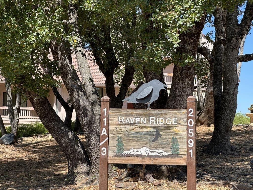 20591 Chaparral Ct Unit 11A