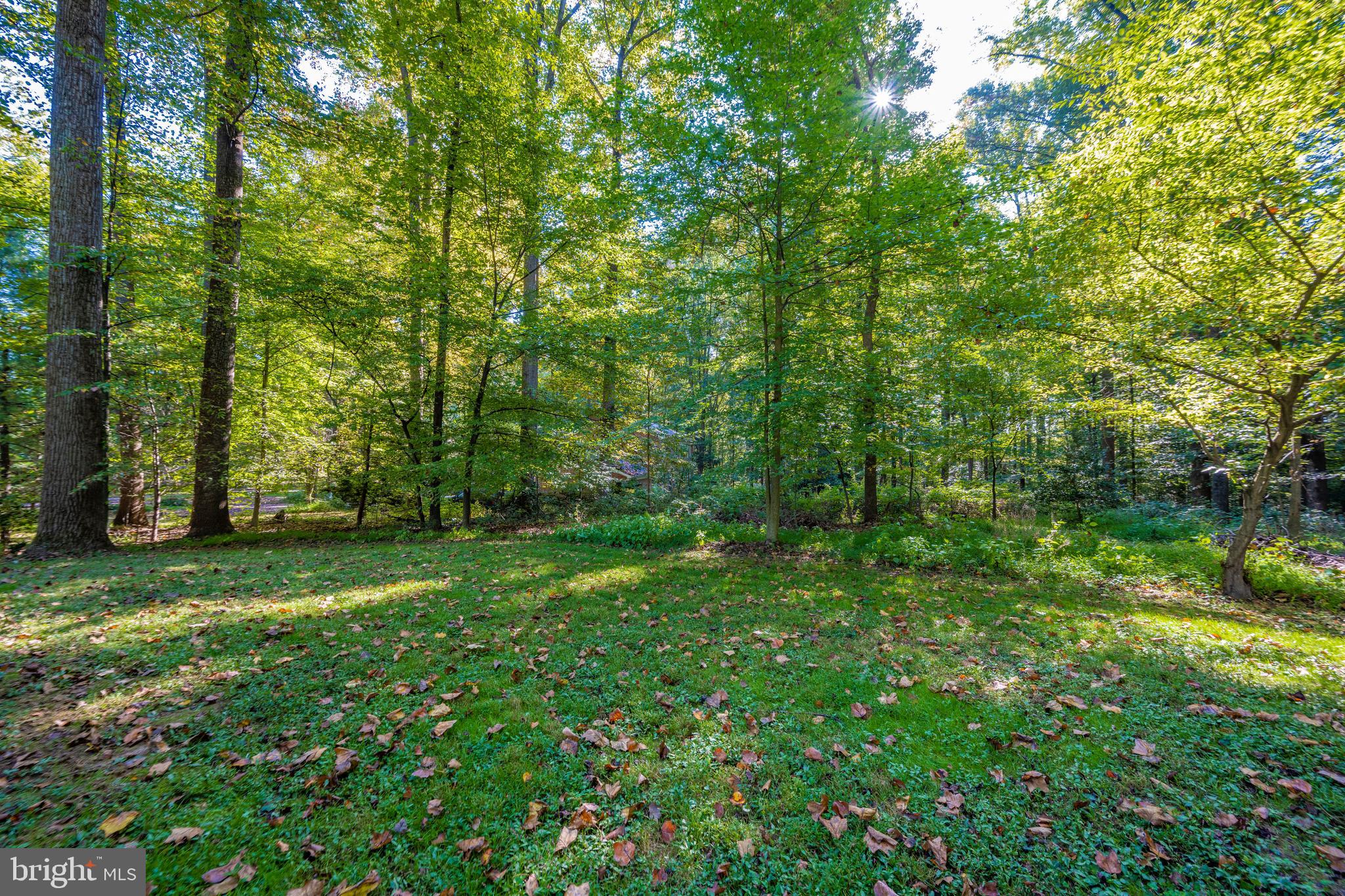 18605 Brooke Road Sandy Spring, MD 20860 - Photo 81 of 116 Gallery Image 81
