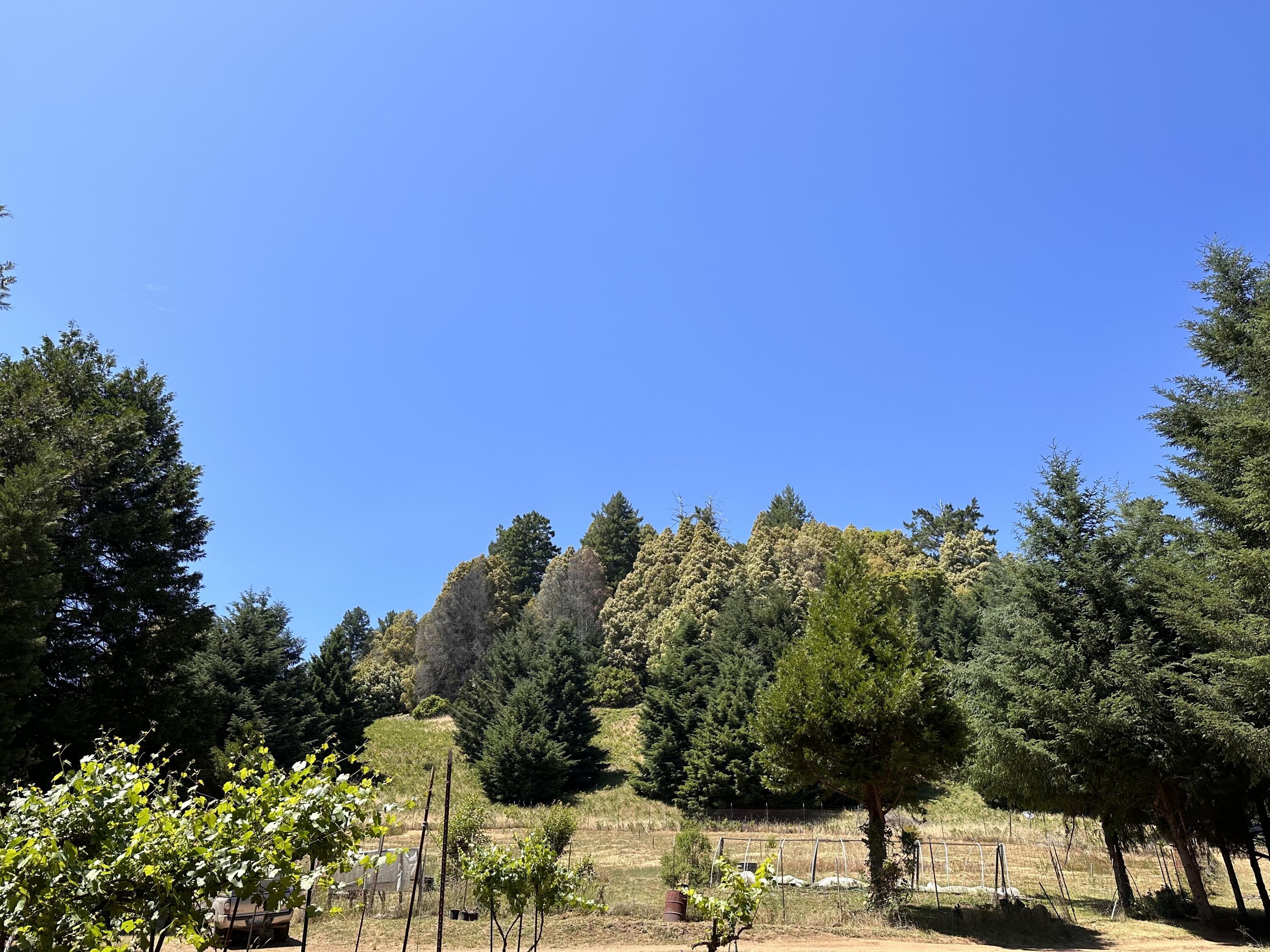 950 Powell Crk Road Garberville, CA 95542 - Photo 78 of 78