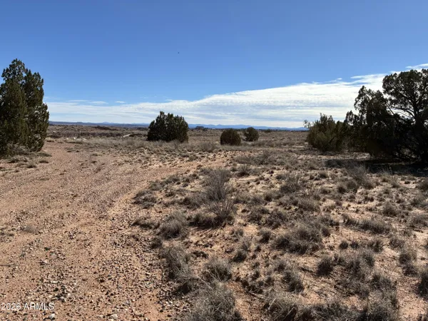 $120,000 | 3-xx South Manor Circle South, Unit 4, Snowflake, AZ 85937