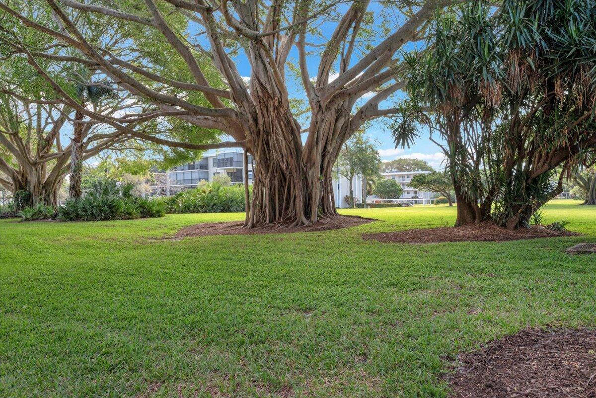 300 North Hwy A1A, Unit 104O Jupiter, FL 33477 - Photo 18 of 25 a view of swimming pool with tree s