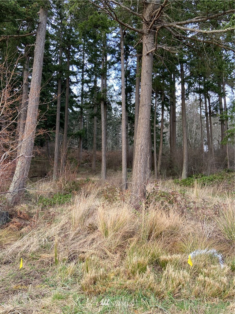 2361 Strawberry Point Road Oak Harbor, WA 98277 - Photo 4 of 8 Gallery Image 4