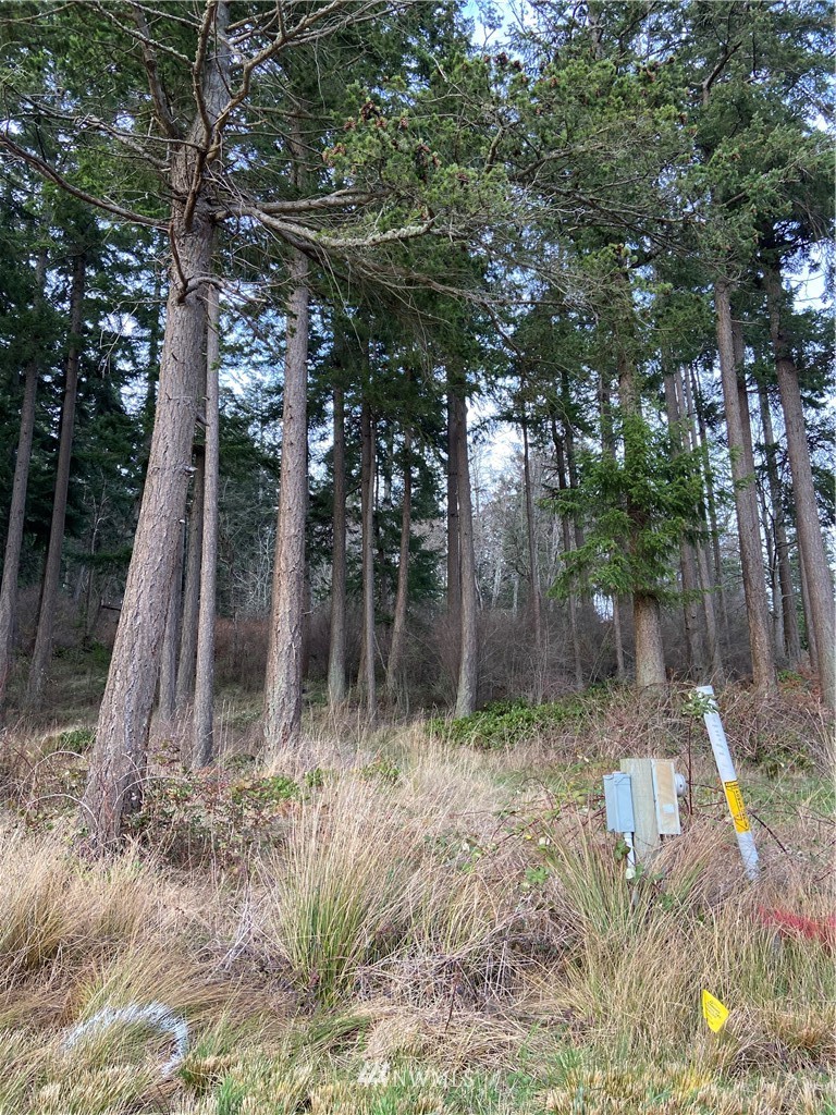2361 Strawberry Point Road Oak Harbor, WA 98277 - Photo 5 of 8 Gallery Image 5