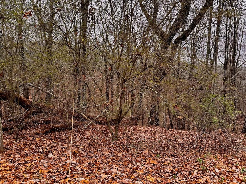 2598 White Sulphur Road Gainesville, GA 30501 - Photo 5 of 5