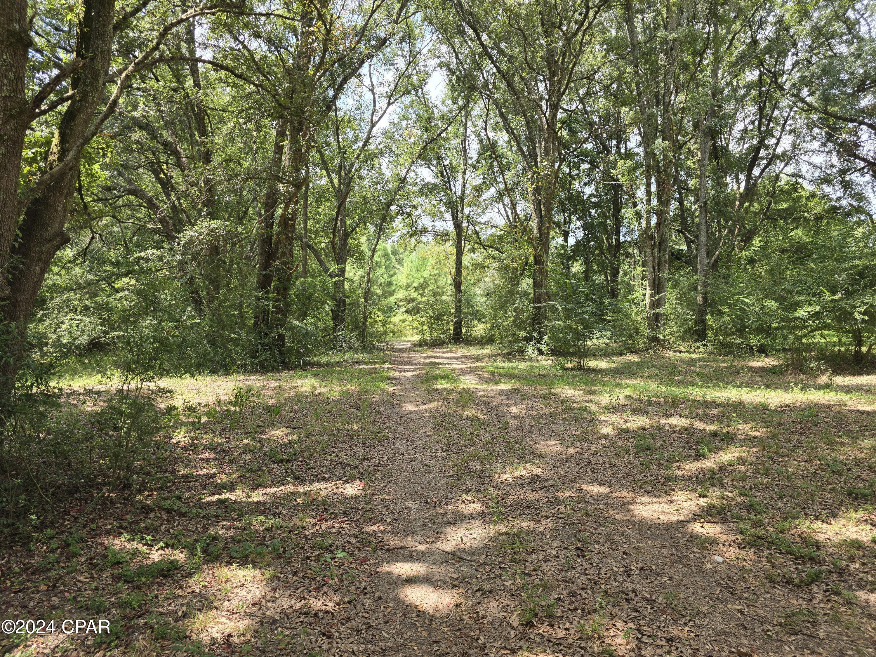 2412 J W Miller Road Bonifay, FL 32425 - Photo 19 of 42 Gallery Image 19