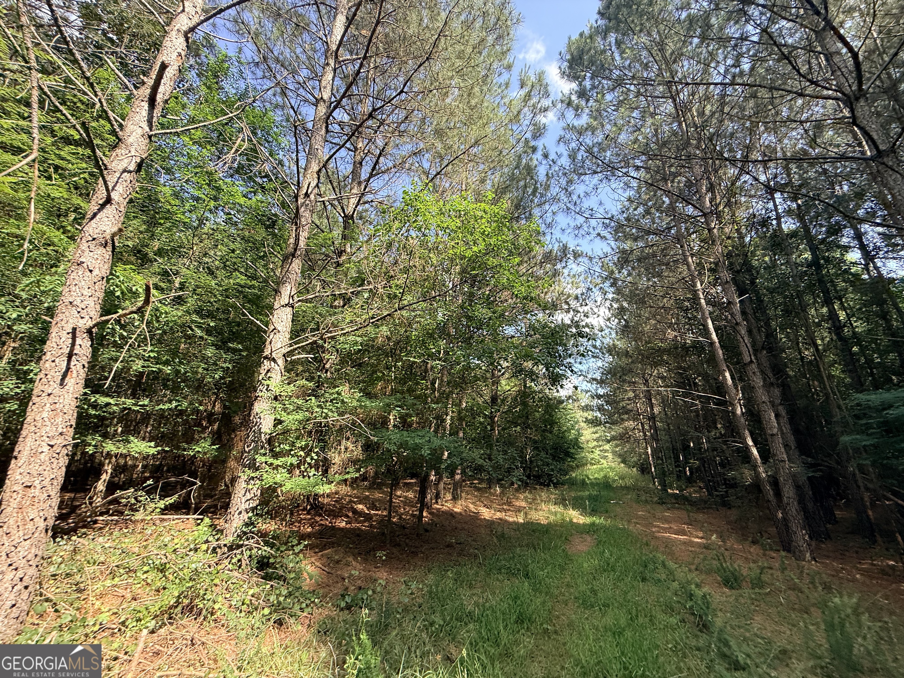 1 Bethesda Church Road Lexington, GA 30648 - Photo 56 of 78
