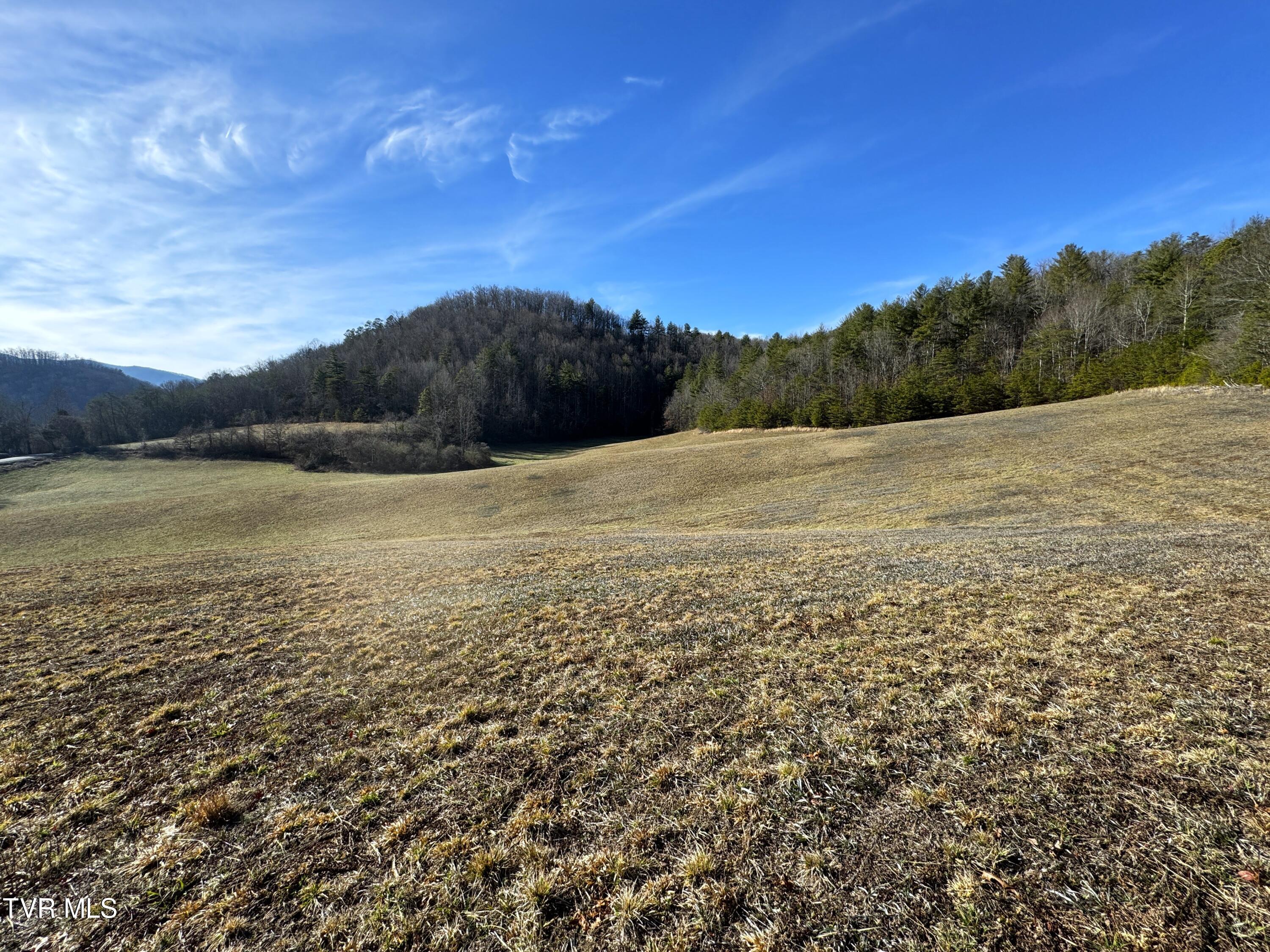 41.85-acrs Old 15th Road Del Rio, TN 37727 - Photo 1 of 14 1