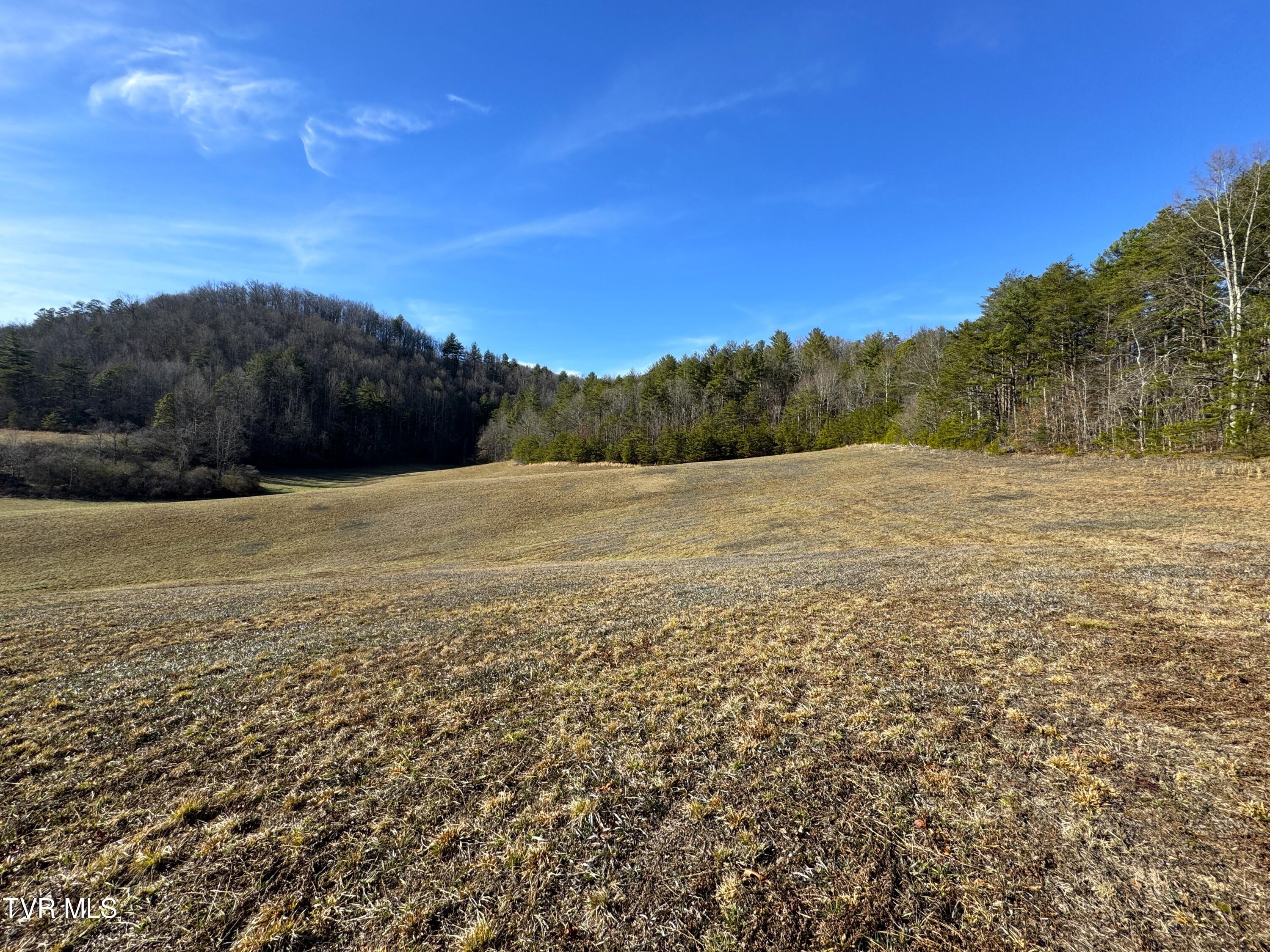 41.85-acrs Old 15th Road Del Rio, TN 37727 - Photo 11 of 14 IMG_0761