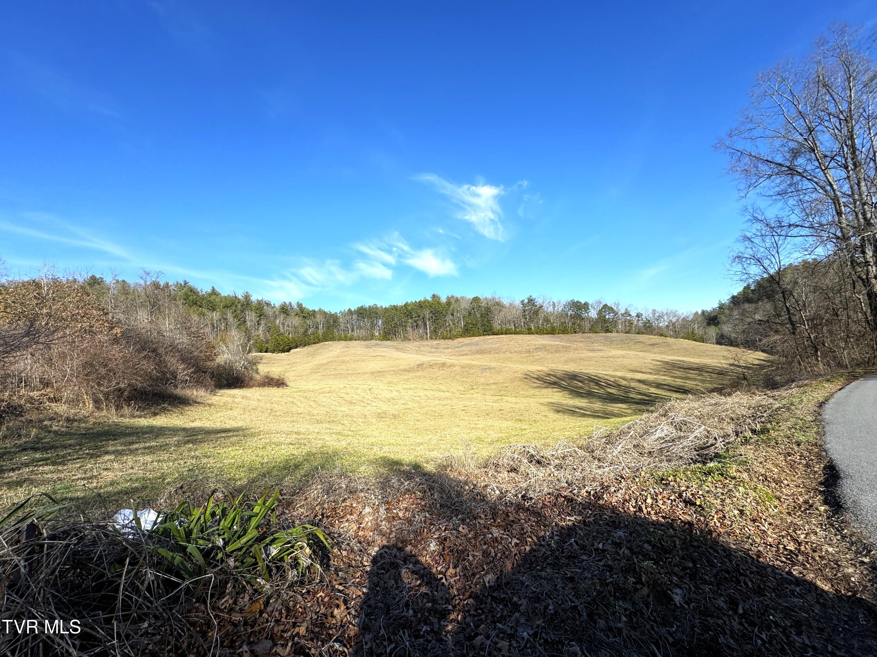 41.85-acrs Old 15th Road Del Rio, TN 37727 - Photo 12 of 14 IMG_0762