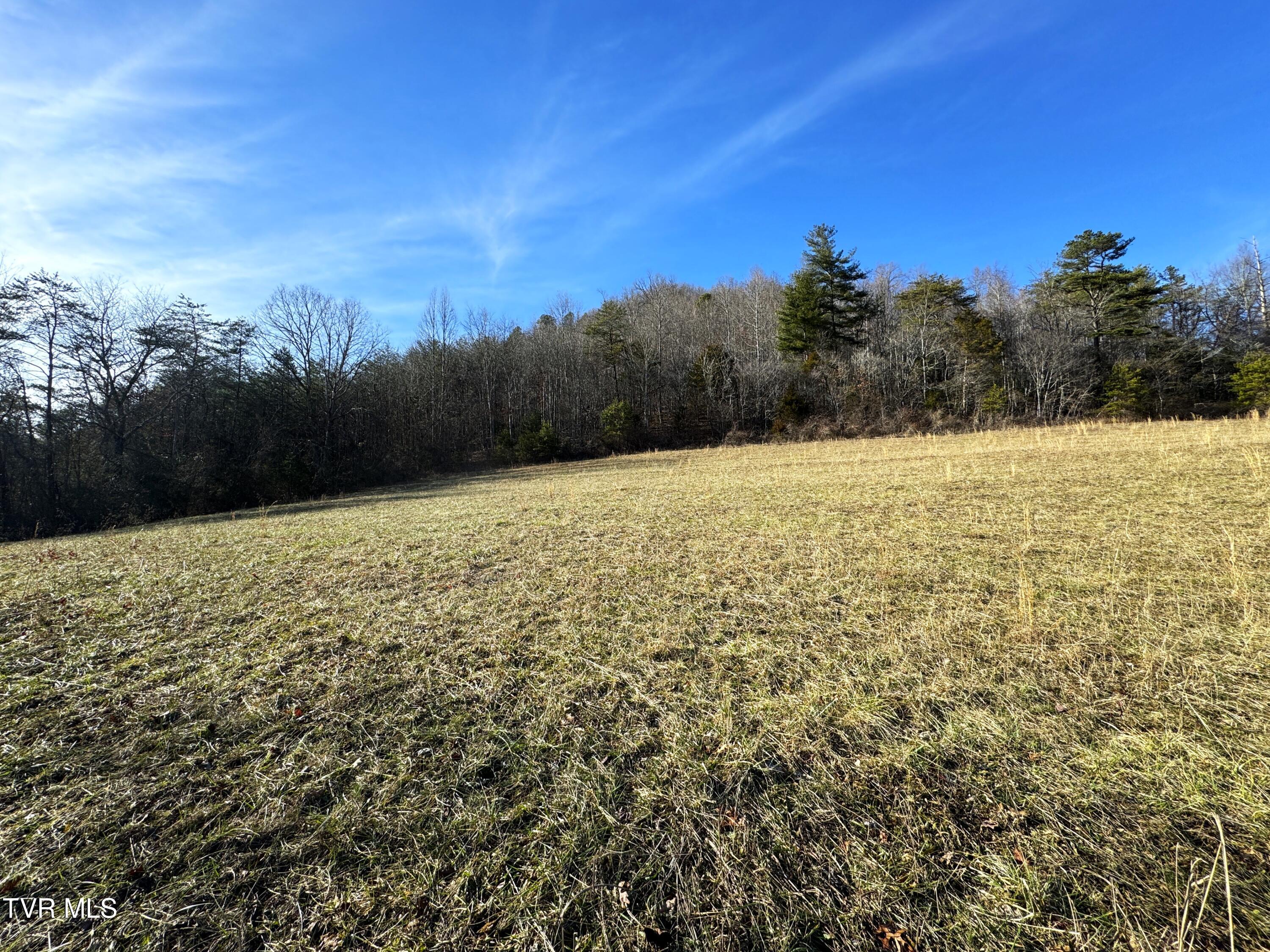41.85-acrs Old 15th Road Del Rio, TN 37727 - Photo 13 of 14 IMG_0765