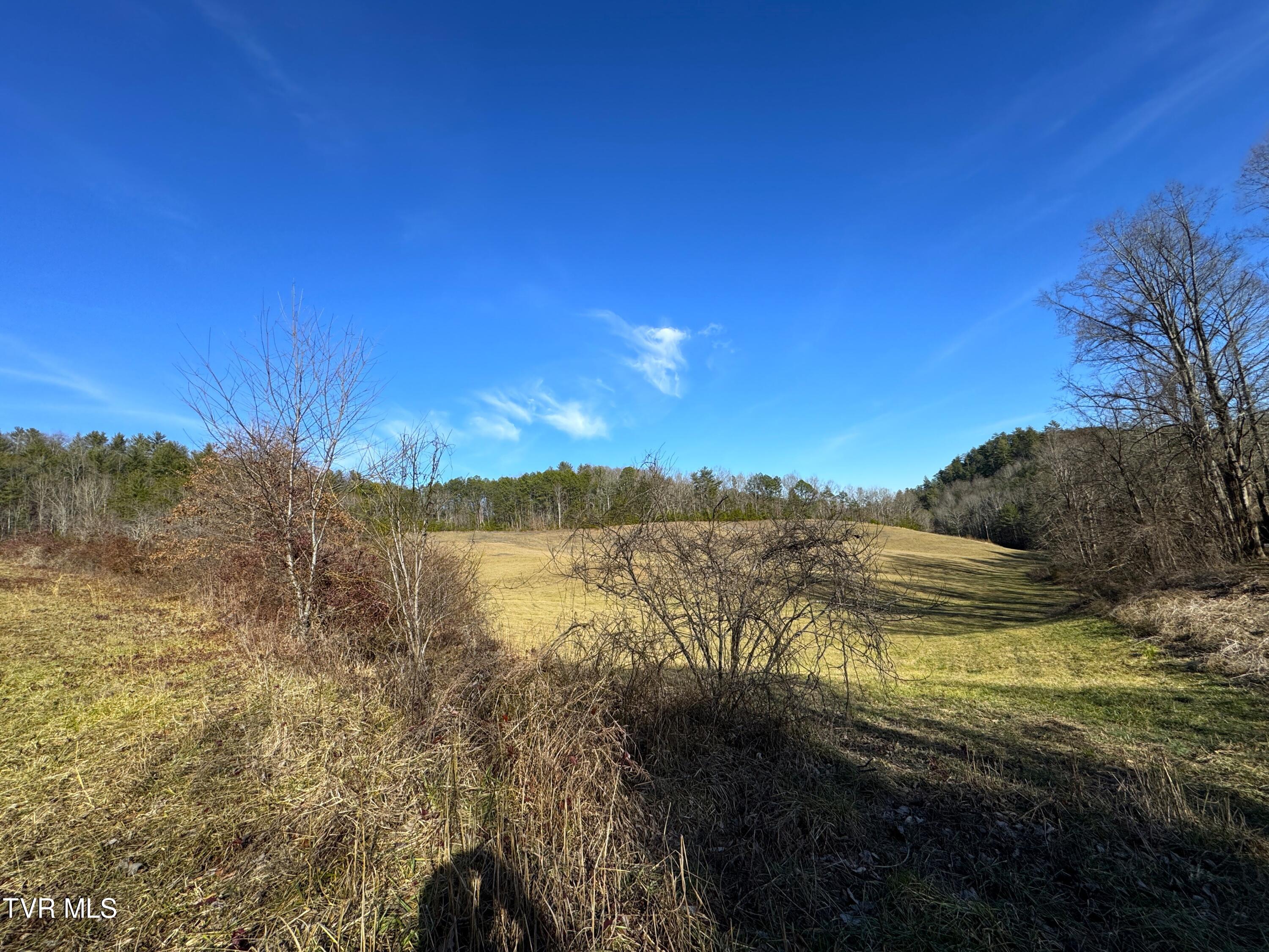 41.85-acrs Old 15th Road Del Rio, TN 37727 - Photo 14 of 14 IMG_0766