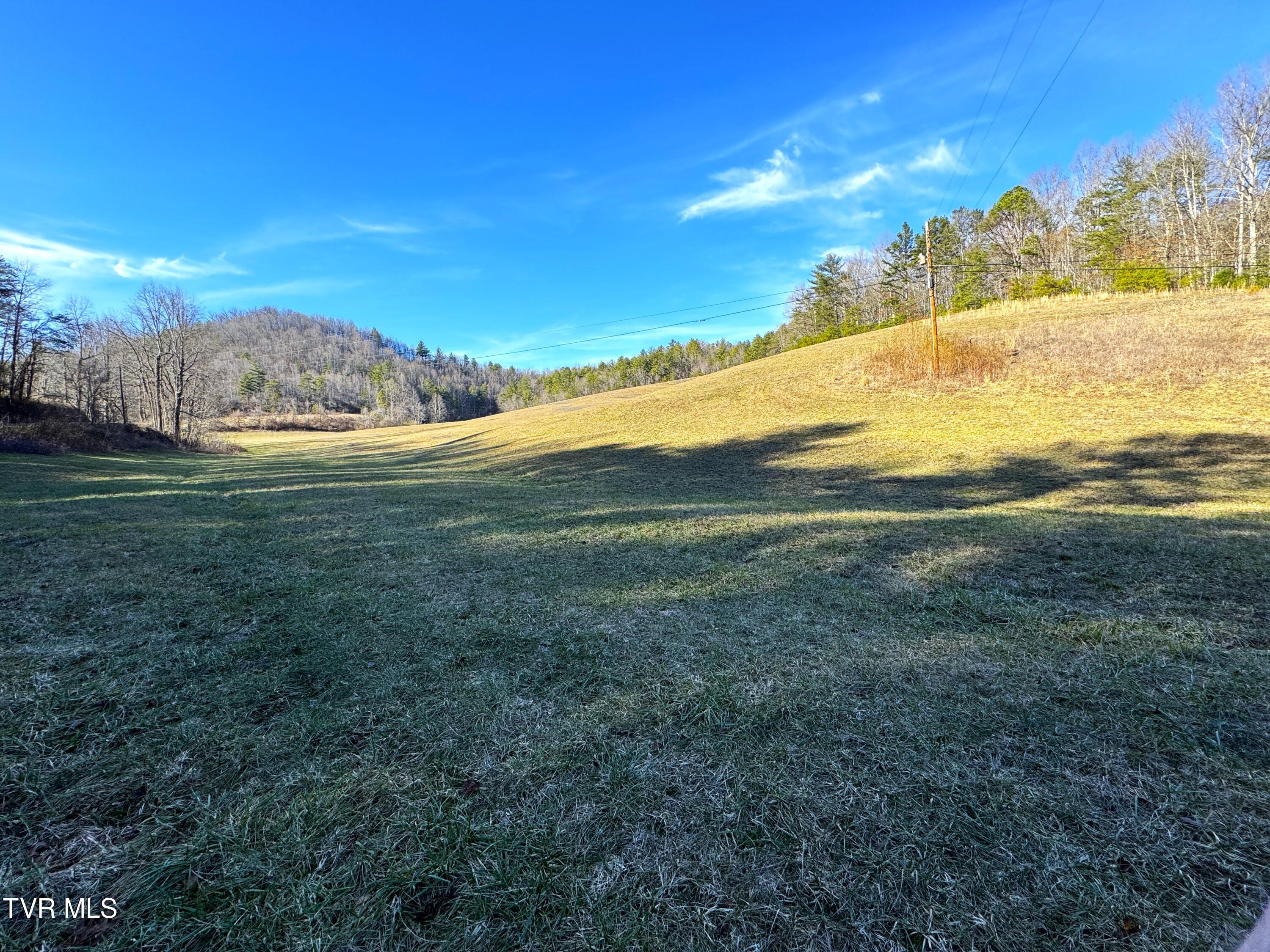 41.85-acrs Old 15th Road Del Rio, TN 37727 - Photo 3 of 14 IMG_0751