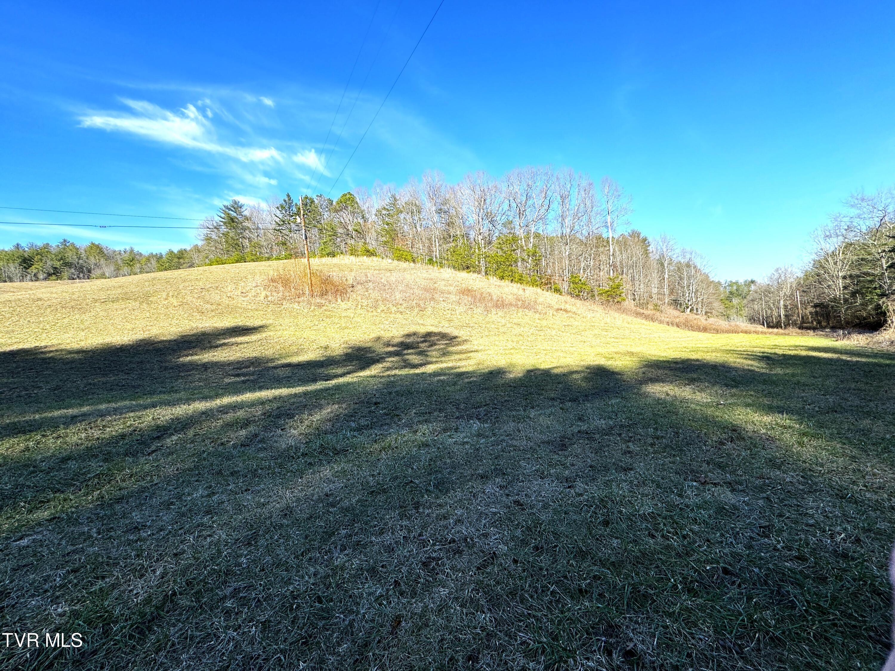 41.85-acrs Old 15th Road Del Rio, TN 37727 - Photo 4 of 14 IMG_0752