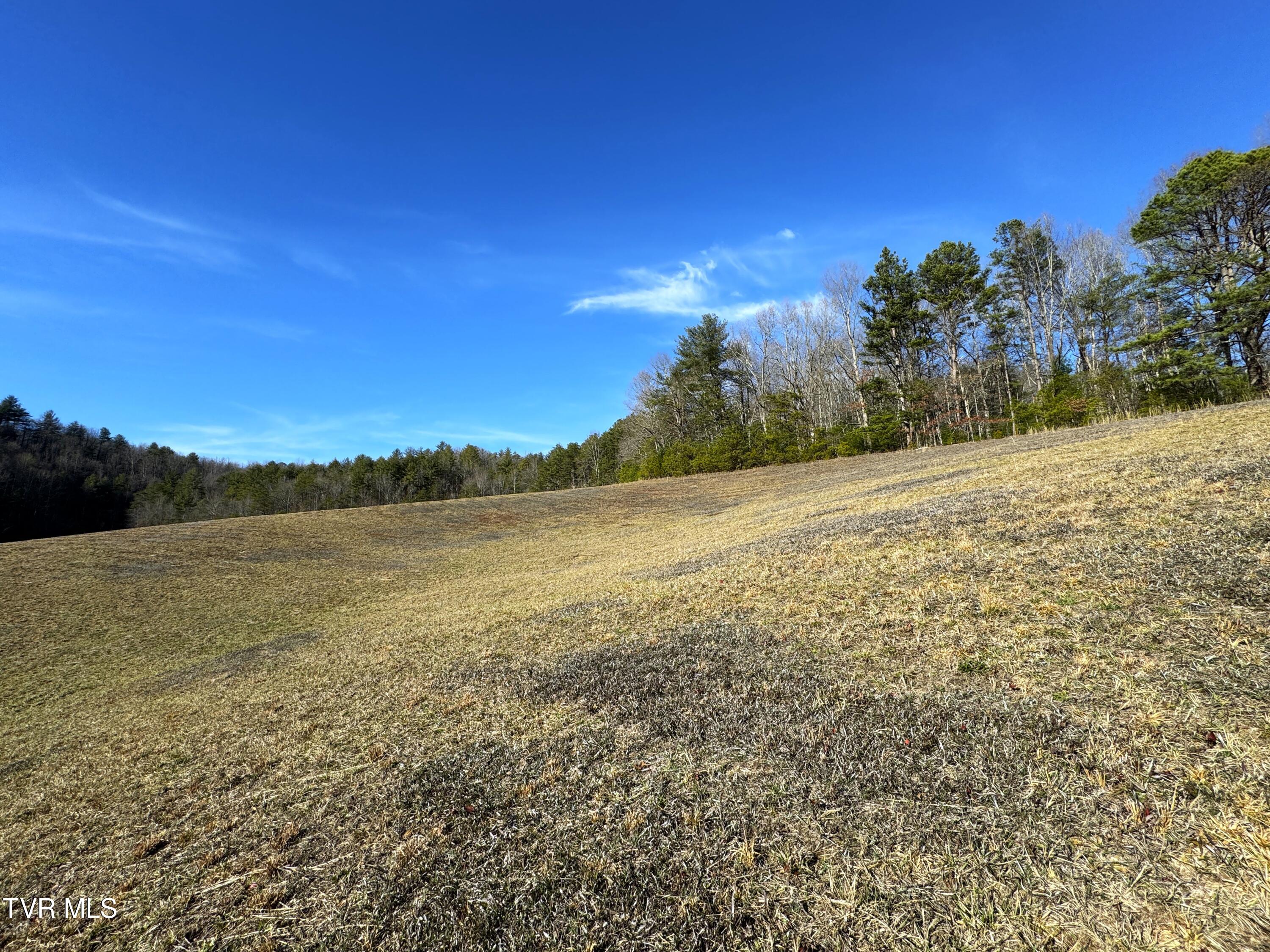 41.85-acrs Old 15th Road Del Rio, TN 37727 - Photo 6 of 14 IMG_0755