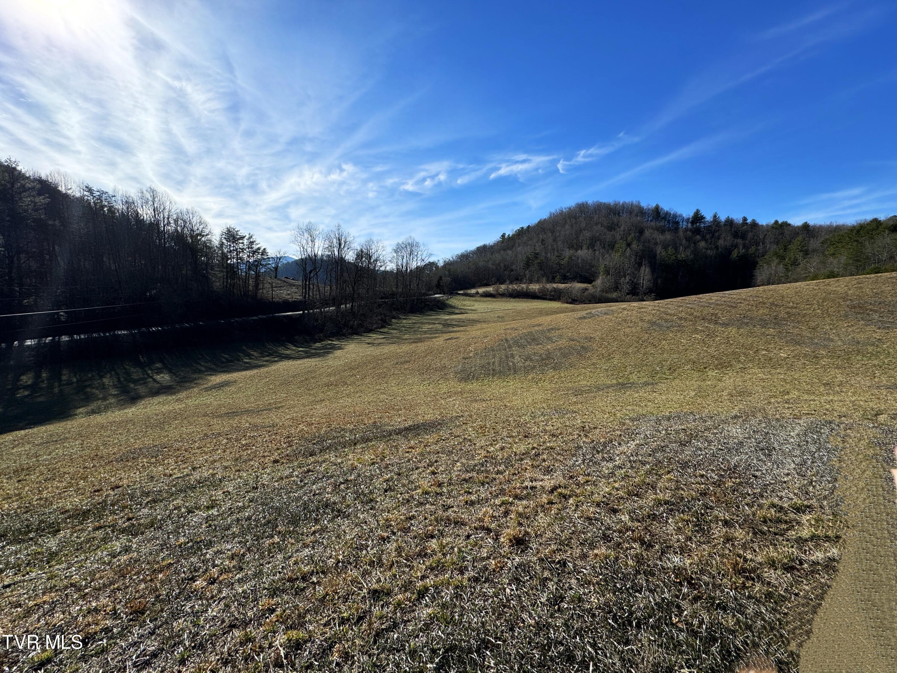41.85-acrs Old 15th Road Del Rio, TN 37727 - Photo 7 of 14 IMG_0756
