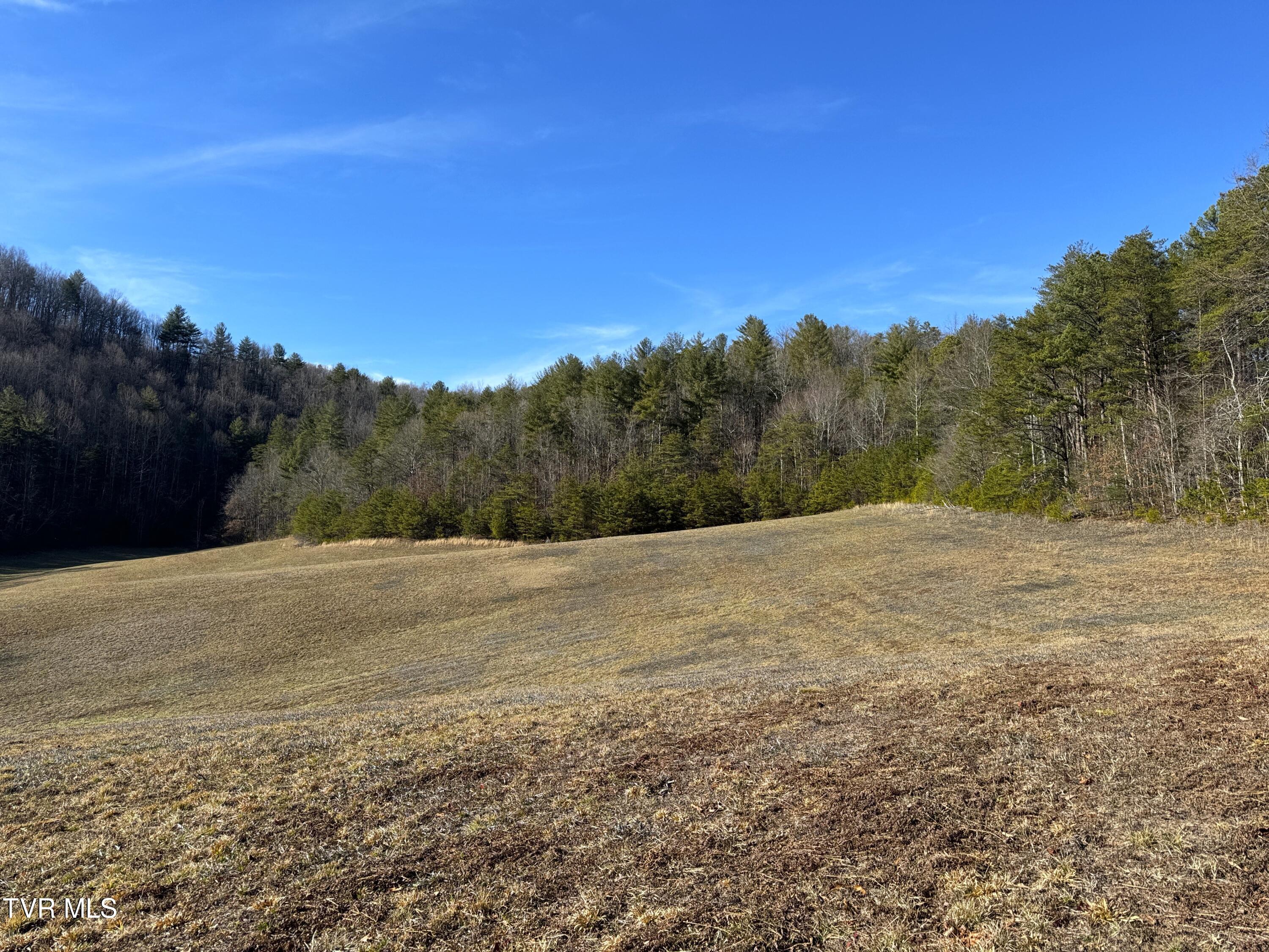 41.85-acrs Old 15th Road Del Rio, TN 37727 - Photo 10 of 14 IMG_0759