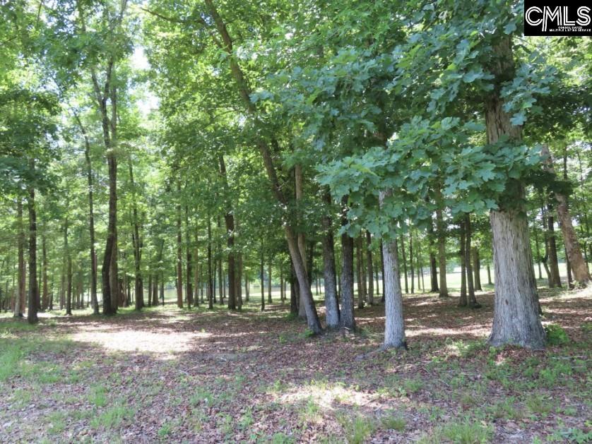 3296 Flat Rock Road Kershaw, SC 29067 - Photo 19 of 94