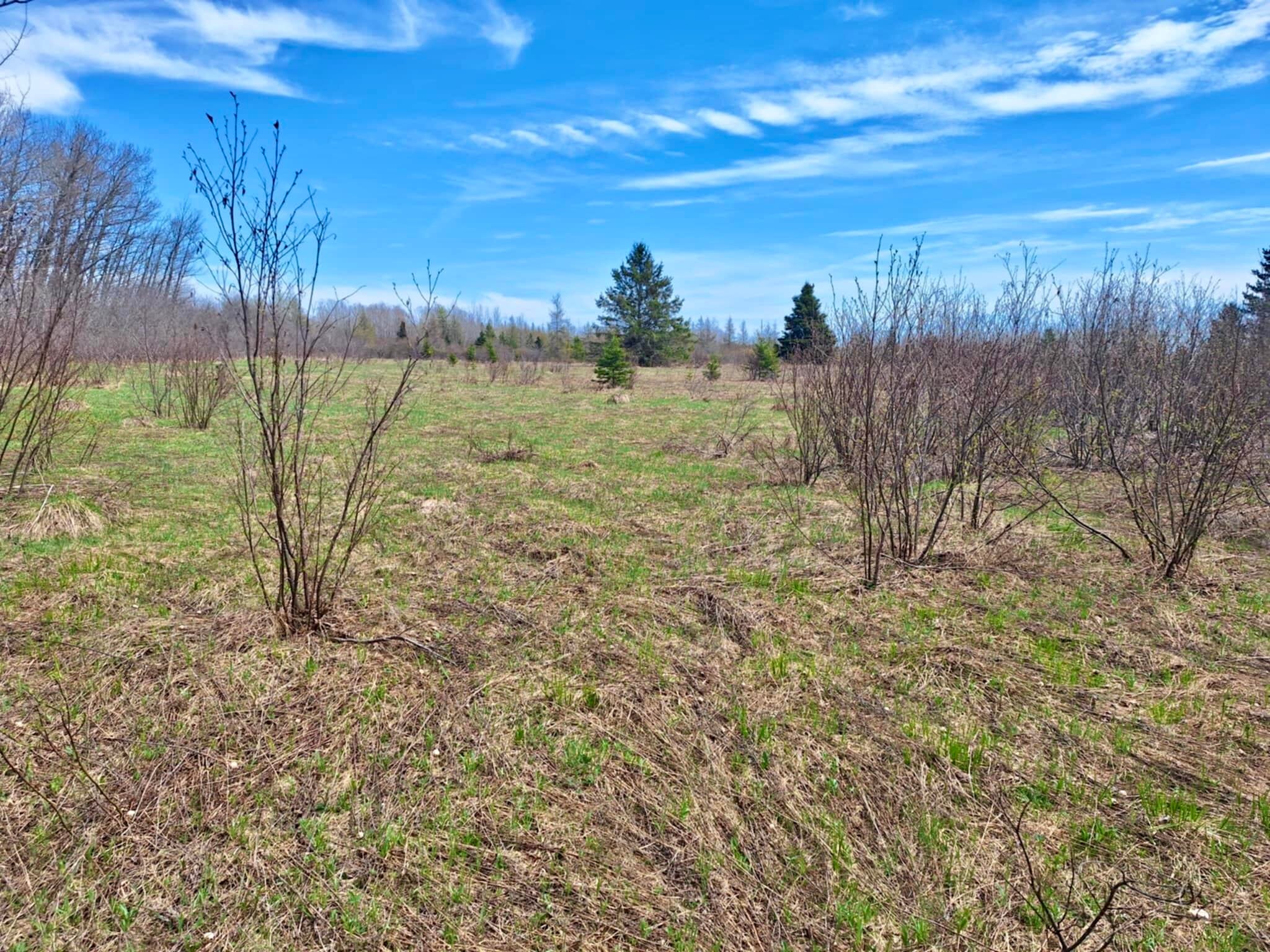 Tbd South Piche Side Road Brimley, MI 49715 - Photo 3 of 11 Gallery Image 3