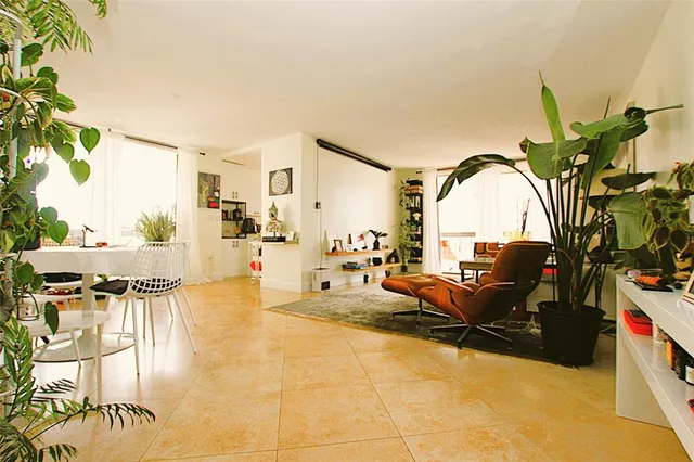 a living room with furniture and a potted plant