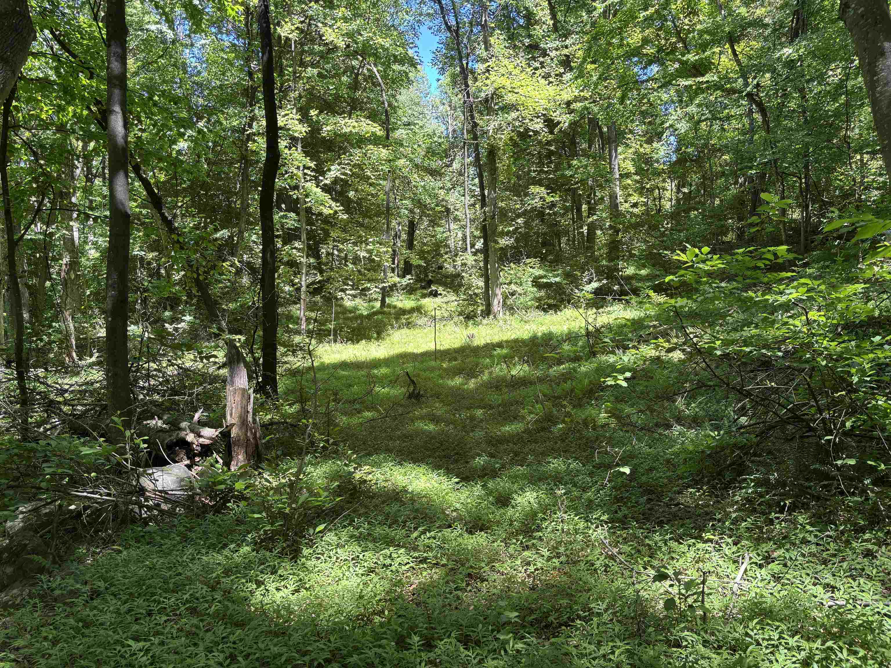 Jordan Hollow Road Stanley, VA 22851 - Photo 14 of 26