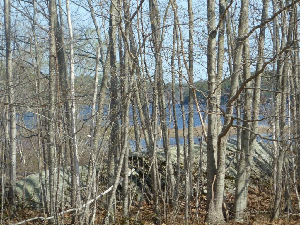 0 Varney Ml Road Bath, ME 04530 - Photo 11 of 28 Photo