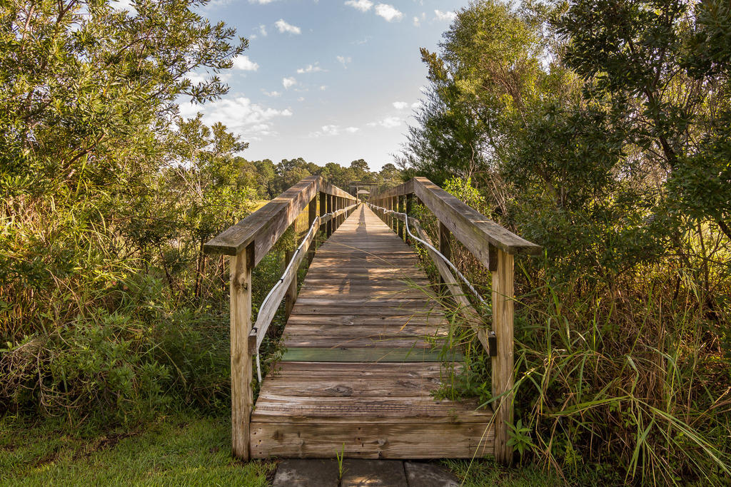 1319 River Road Johns Island, SC 29455 - Photo 6 of 44 6