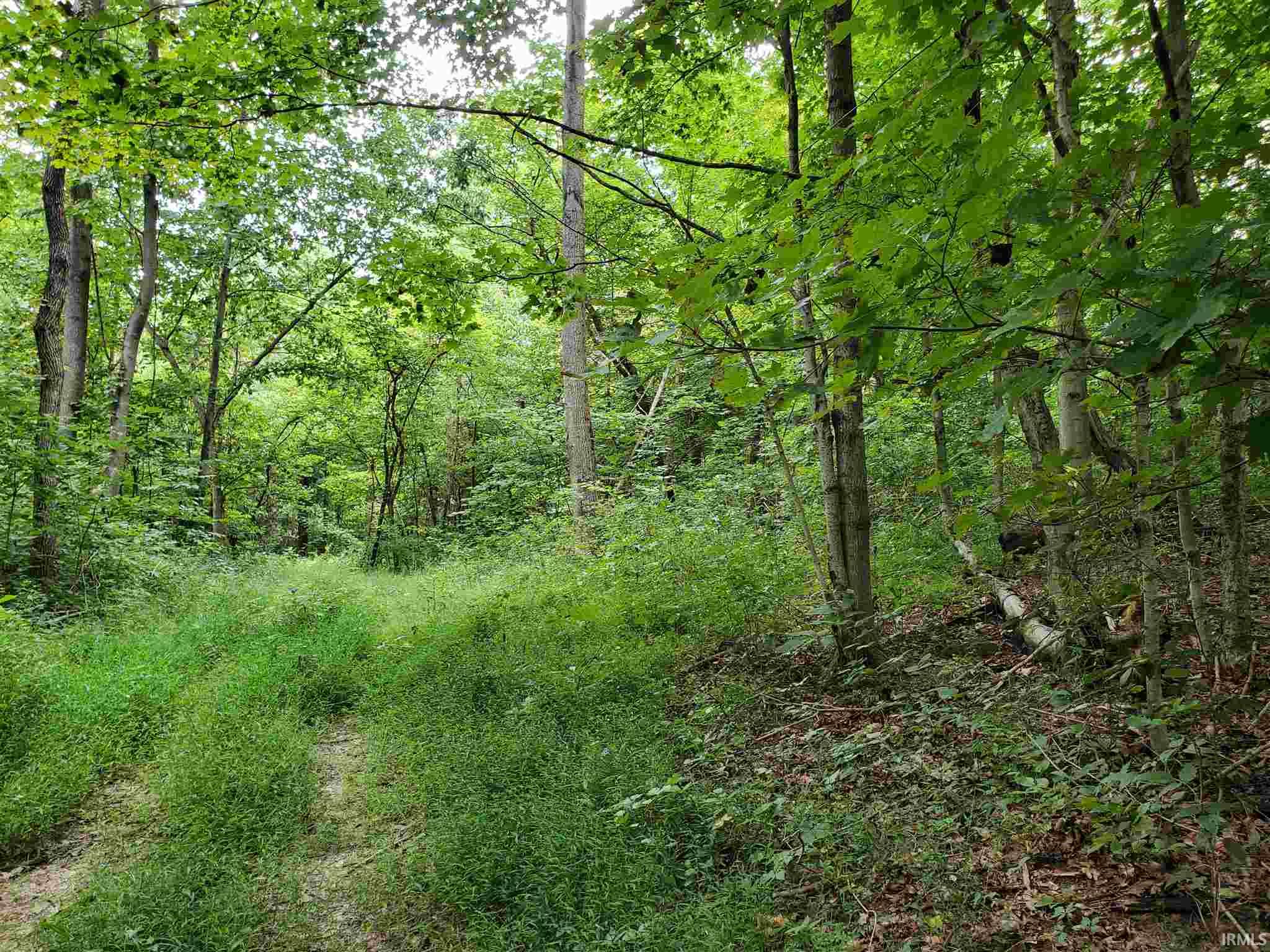 68.43-acres Murray Road Mitchell, IN 47446 - Photo 8 of 35 Gallery Image 8