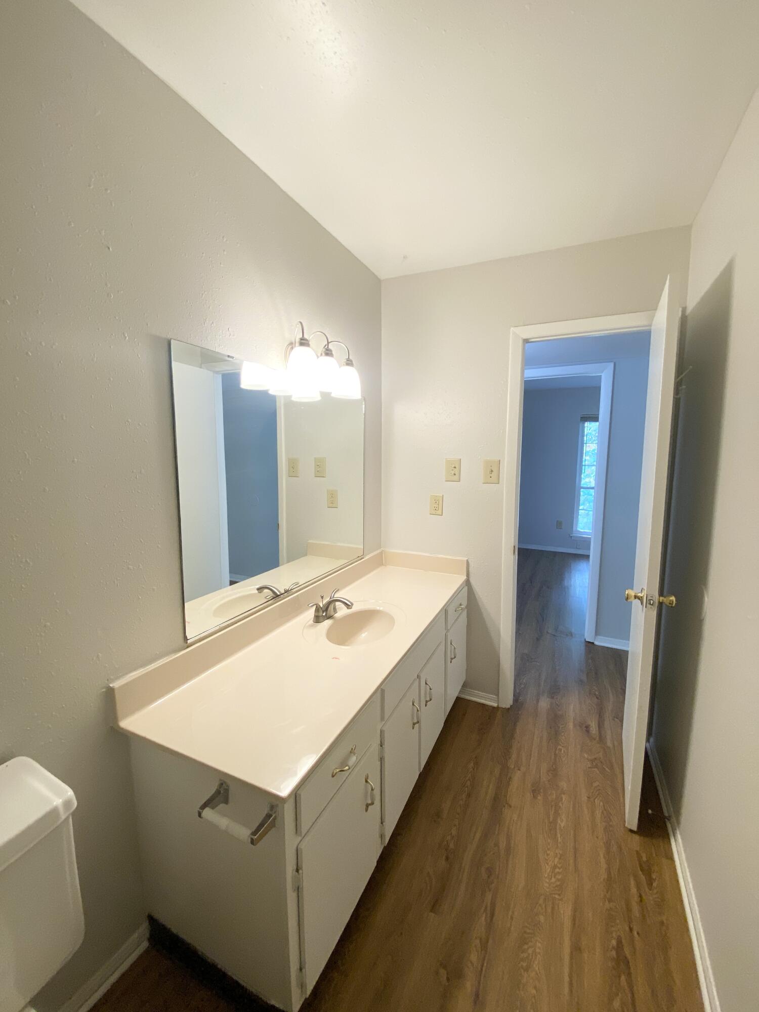 900 Mountain Creek Road, Unit U427 Chattanooga, TN 37405 - Photo 8 of 13 Hall Bathroom
