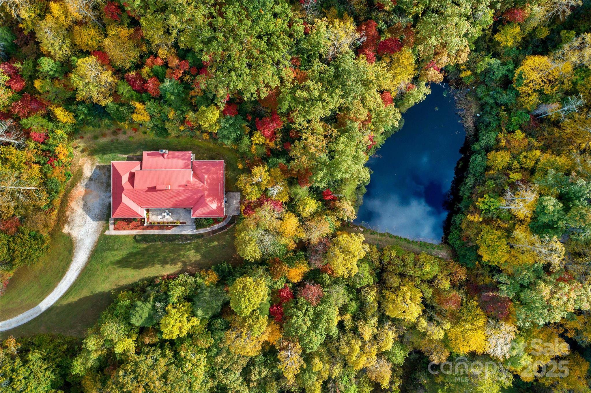 a view of a bunch of flowers