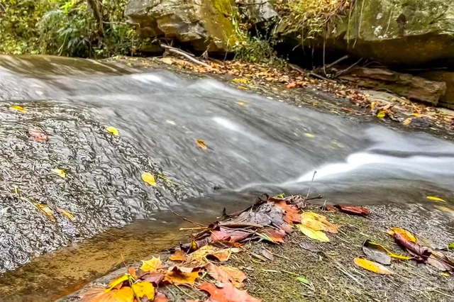 a view of outdoor space and garden