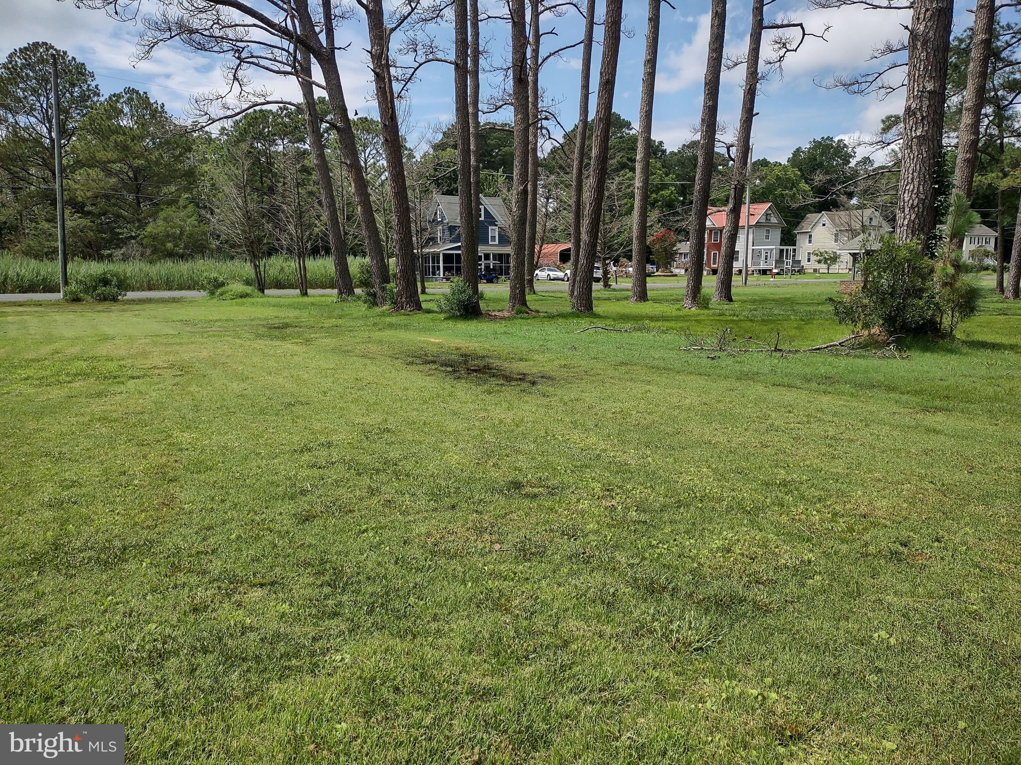3175 Boone Road Crisfield, MD 21817 - Photo 7 of 22 Backyard