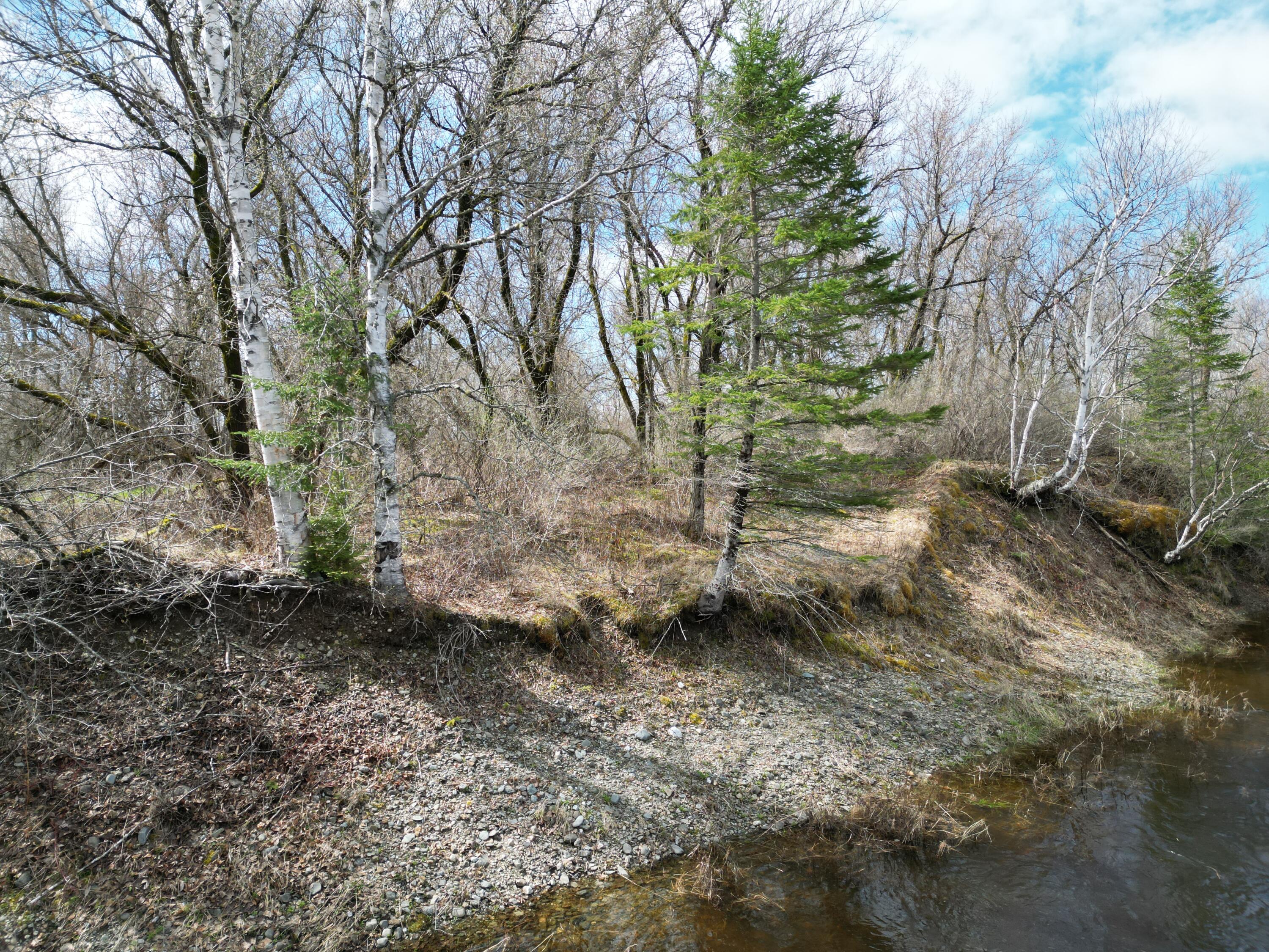 Lot 46 Merriman Rd Island Falls Island Falls, ME 04747 - Photo 16 of 16 DJI_0319