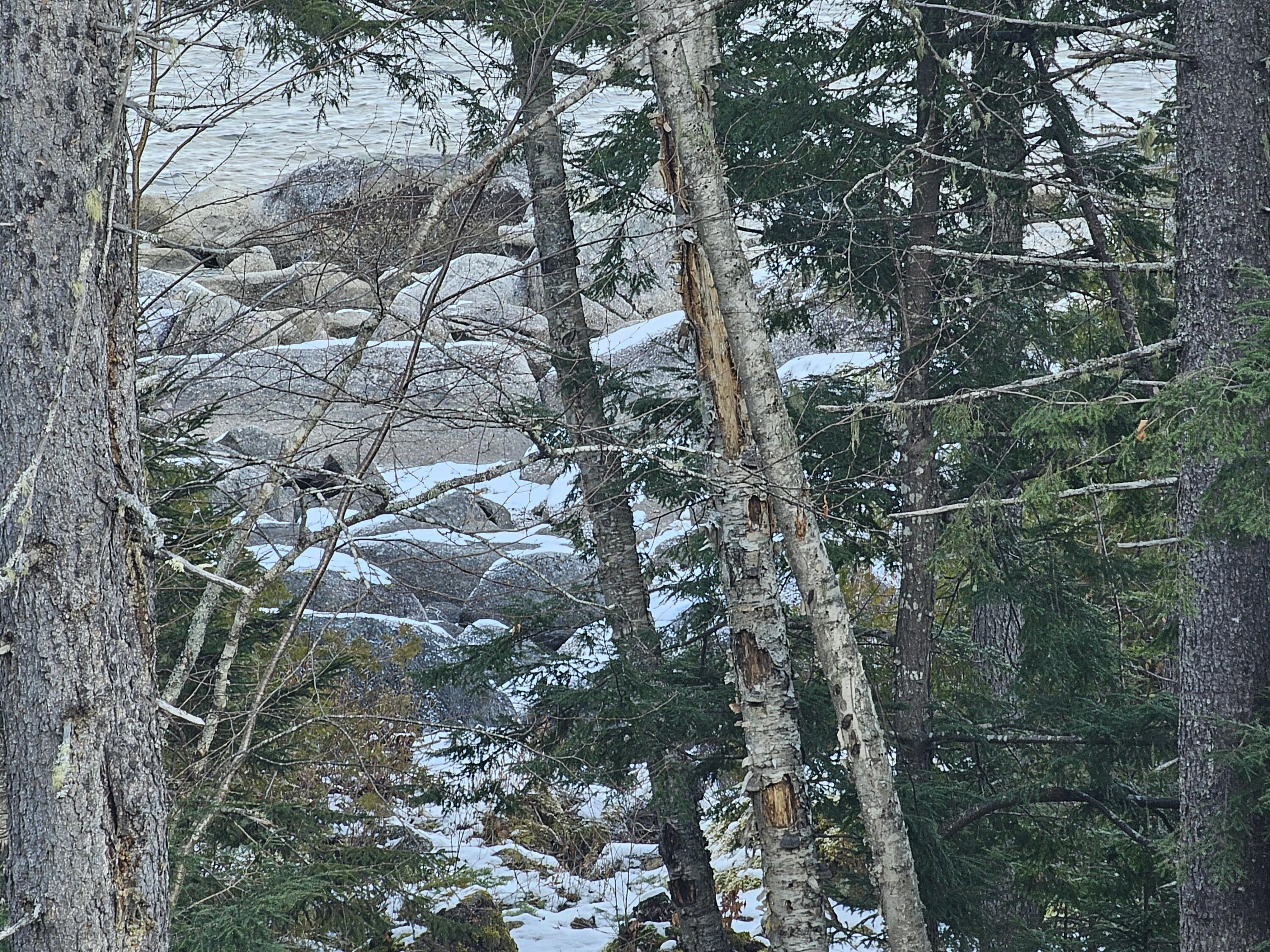 M26-l11.2 Boulder Road Danforth, ME 04424 - Photo 18 of 23 20241203_122840(0)