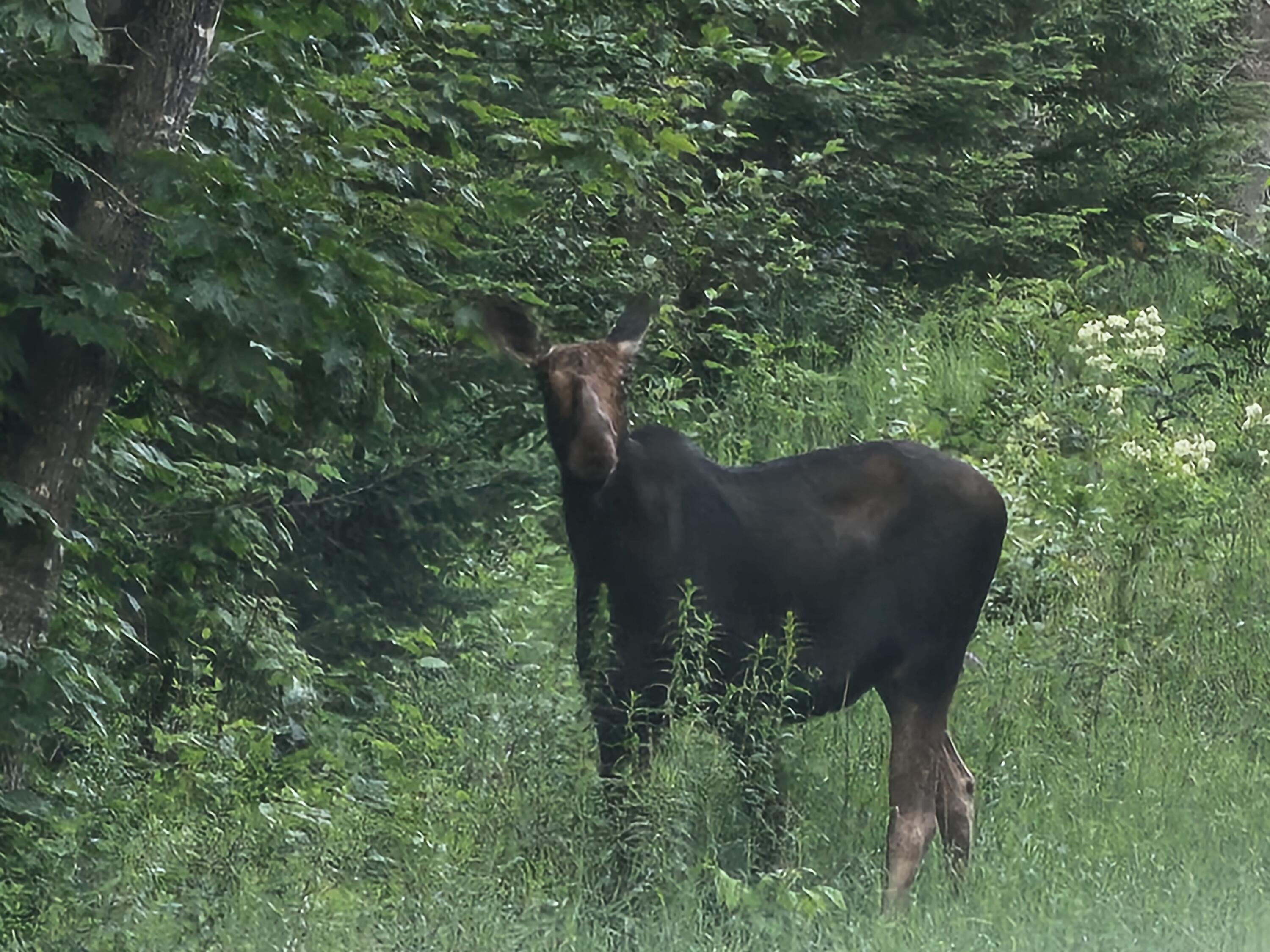 M26-l11.2 Boulder Road Danforth, ME 04424 - Photo 2 of 23 20230705_200446