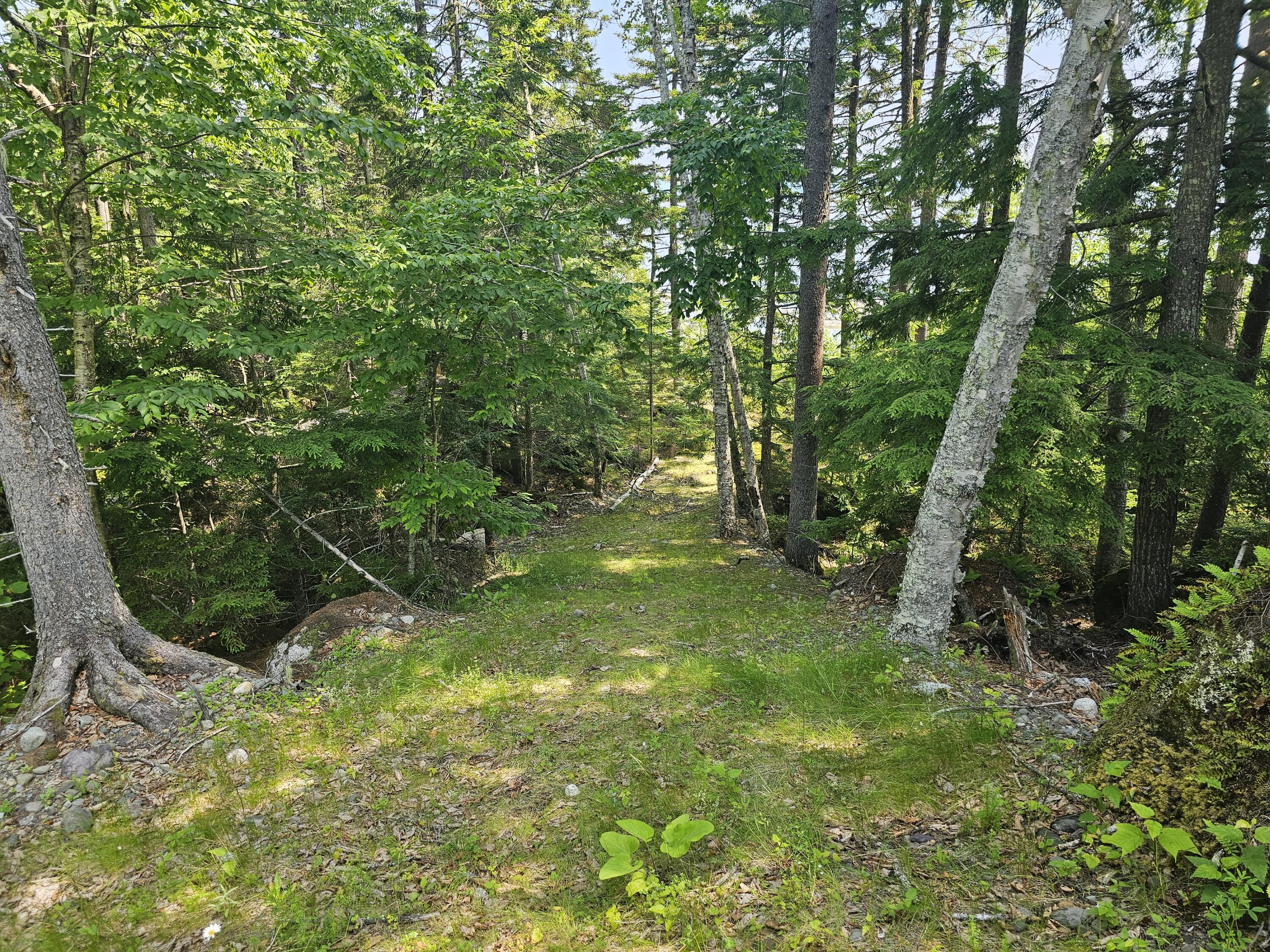 M26-l11.2 Boulder Road Danforth, ME 04424 - Photo 8 of 23 20230706_105649