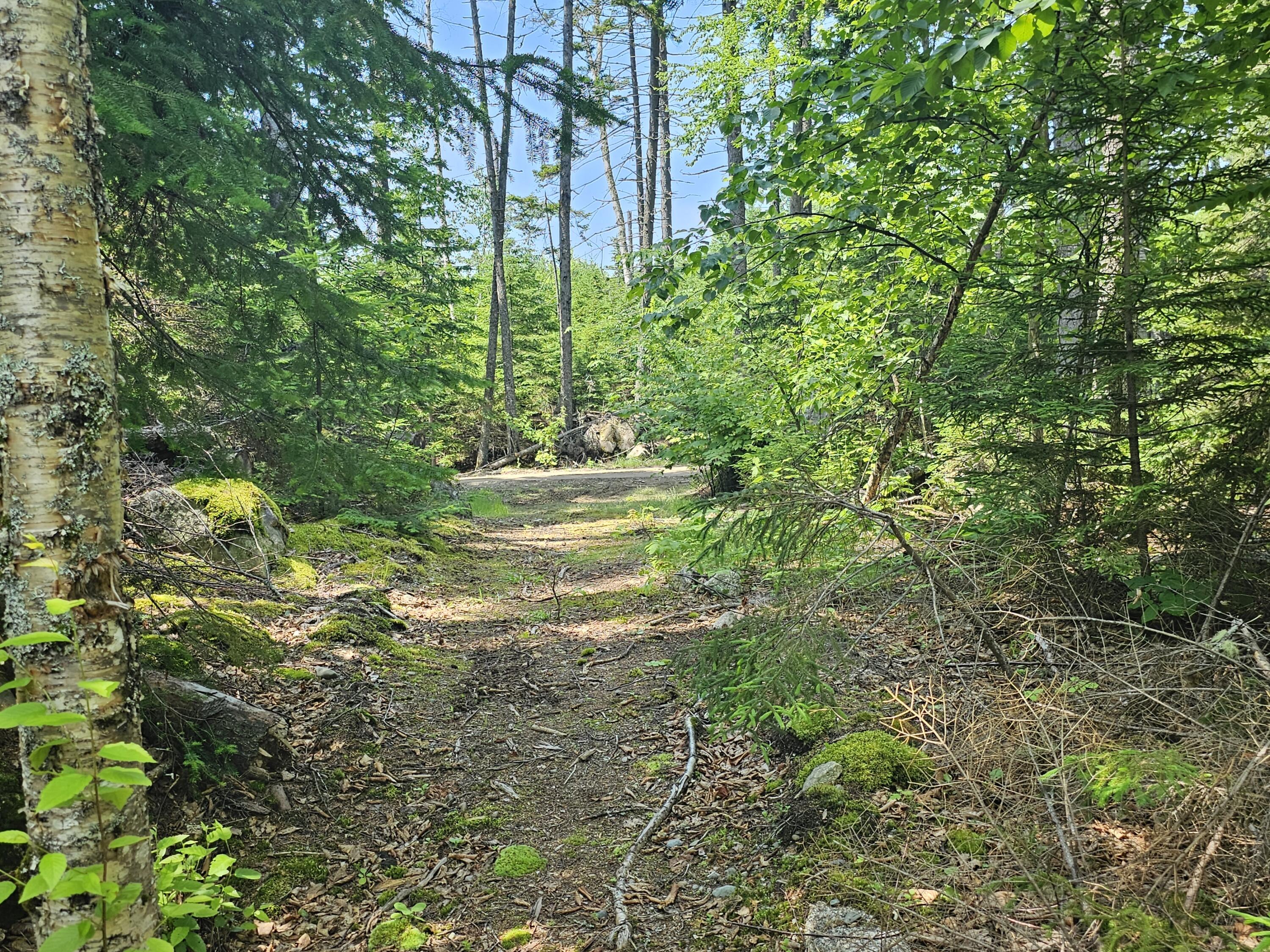 M26-l11.2 Boulder Road Danforth, ME 04424 - Photo 10 of 23 20230706_111128