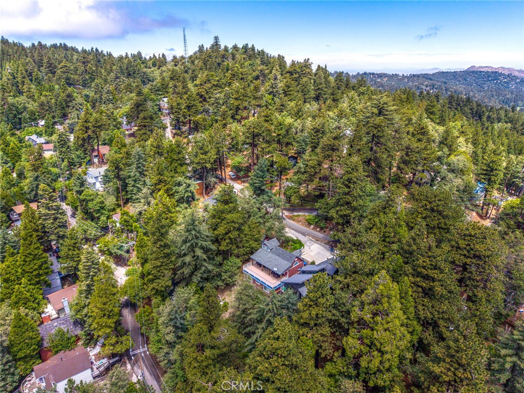 1134 Scenic Way Rimforest, CA 92378 - Photo 33 of 37 The Oversized Lot protects your Privacy & View!