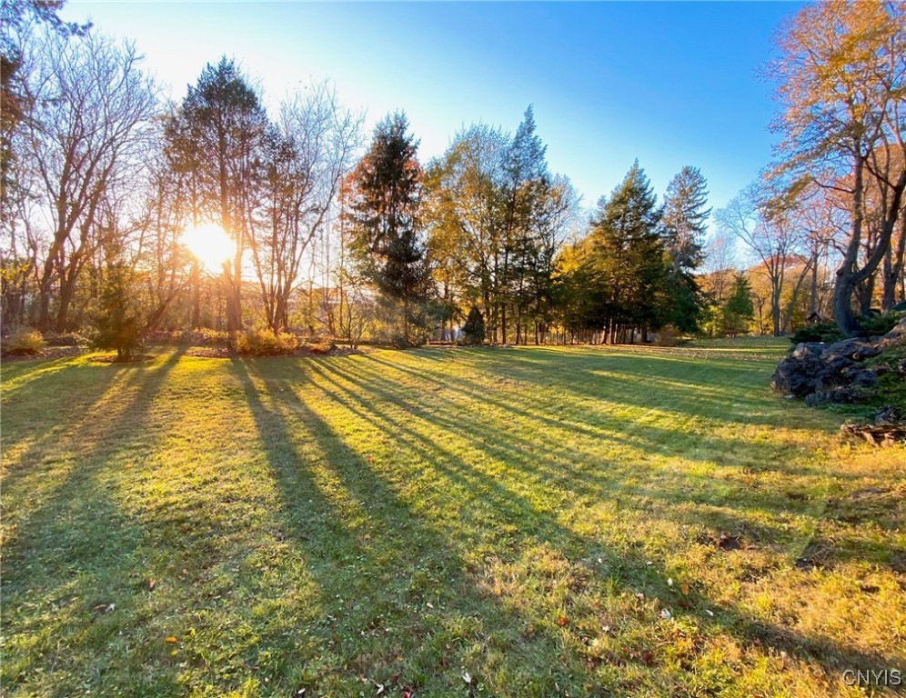 4840 Westfield Drive Manlius, NY 13104 - Photo 47 of 48 Sunlight streaming through the yard is always a be