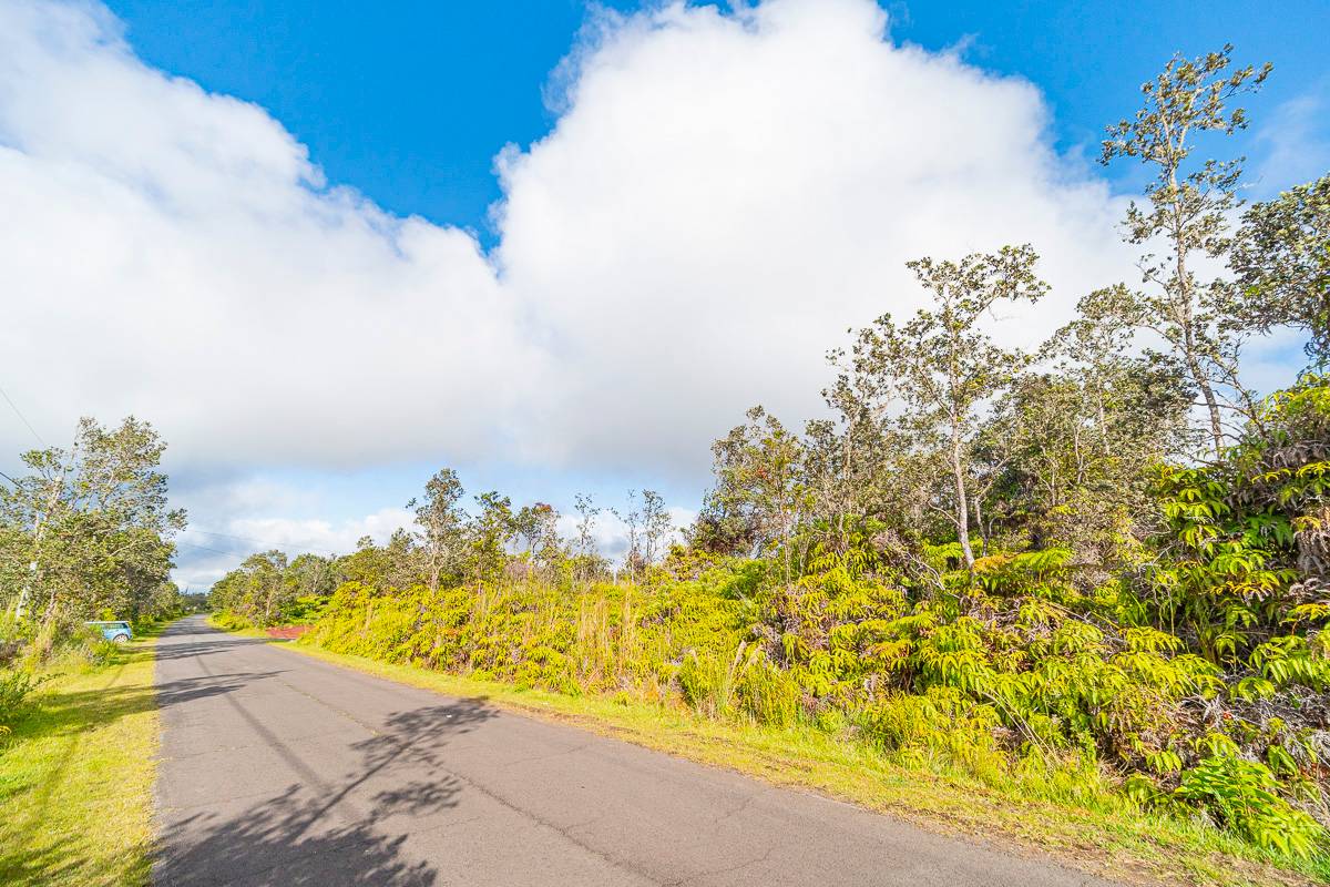 2140 Mokuna Street Volcano, HI 96785 - Photo 4 of 6