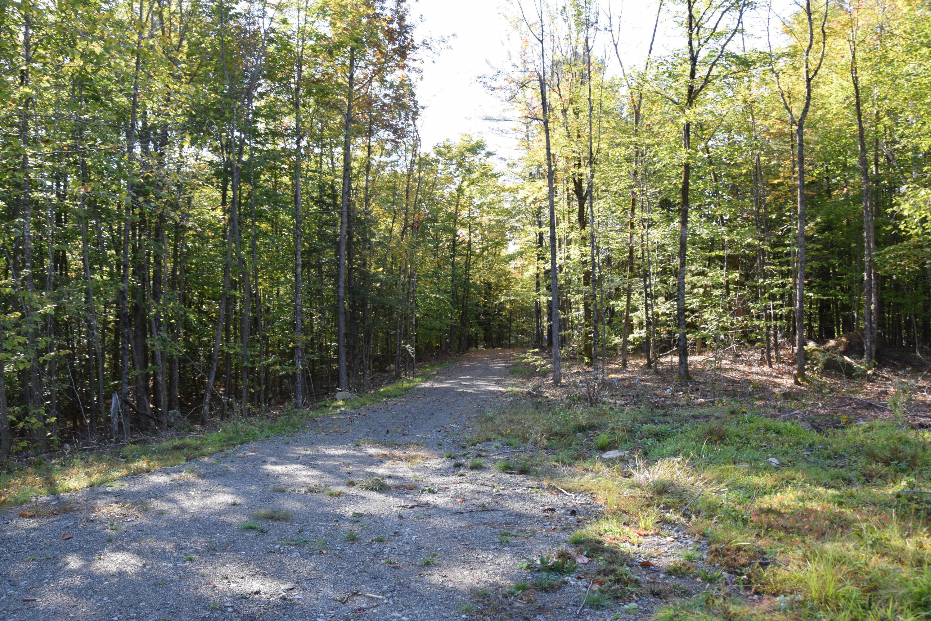 7 Spring Hill Drive Embden, ME 04958 - Photo 1 of 39 DSC_0013