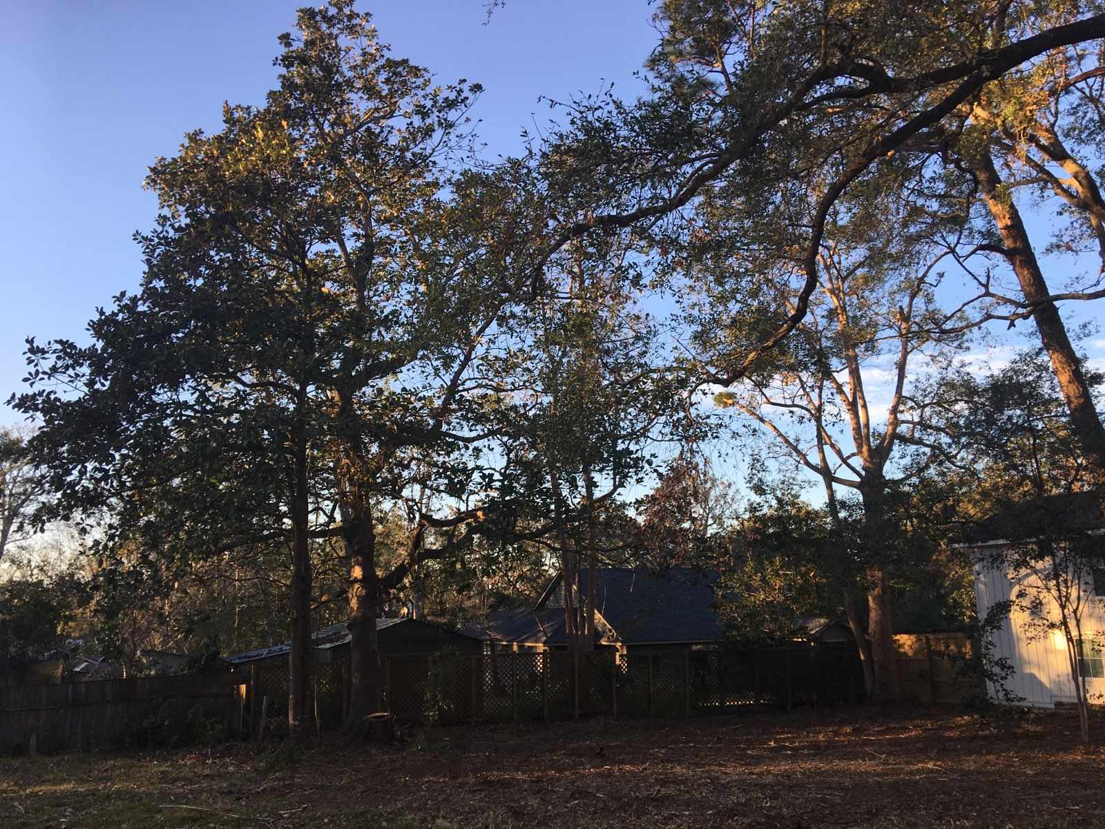 360 South Summit Street Fairhope, AL 36532 - Photo 7 of 11 View of Back Yard