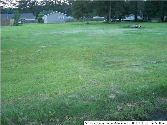 12313 Dearview Road Gonzales, LA 70737 - Photo 1 of 5 Gallery Image 1